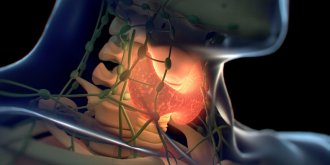 Cancer de la thyroide : symptomes et traitements du cancer thyroidien