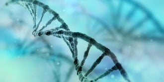 Chromosome Y : sa perte pourrait entrainer une mort precoce chez les hommes 