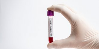 Le premier vaccin contre le chikungunya approuve aux Etats-Unis