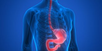 Cancer de l-œsophage : symptomes, causes, duree de vie, traitements 