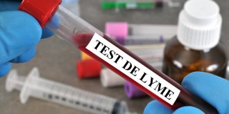 Maladie de Lyme : bientot un vaccin pour se proteger des morsures de tiques 