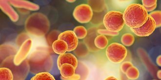 Ureaplasma urealyticum : comment ca se soigne ?