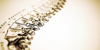 Le tassement vertebral : quels sont ses symptomes, causes et traitements ?