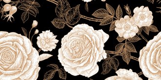 Griffure de rosier : que risquez-vous reellement ?