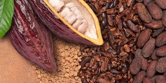 Les scientifiques creent un nouveau chocolat, moins sucre
