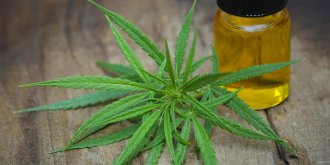 Addiction au cannabis : qu-est-ce que le THC ?