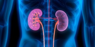 Insuffisance renale (aigue, chronique) : symptomes, traitements, comment l-eviter 