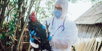 Ces maladies qu’on attrape a cause des animaux (et comment s’en proteger)