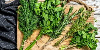 Ces 8 herbes aromatiques sont a privilegier en ete !
