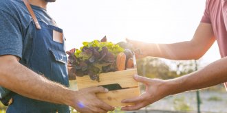 Les huit regimes alimentaires pour vieillir en bonne sante 