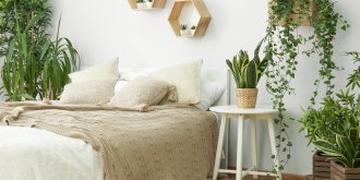 Bien dormir : 6 plantes a mettre dans la chambre a coucher