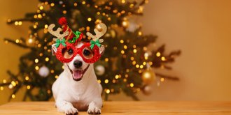 Des aliments inoffensifs pour les humains mais pas pour les animaux 