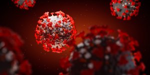Covid-19 et immunite croisee : vous pouvez etre protege du virus sans l-avoir attrape !