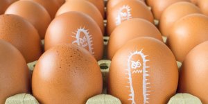 Rappel produit : pourquoi les œufs peuvent etre tres dangereux ?