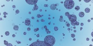Coronavirus : comment savoir si vous etes immunise ?