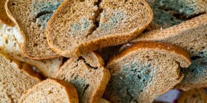 Nutrition : pourquoi couper la moisissure du pain n’eloigne pas les risques
