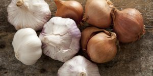 Diabete gestationnel : l-ail et l-oignon comme traitement naturel