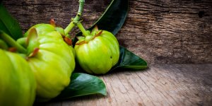 Garcinia cambogia : un complement alimentaire pour maigrir ?