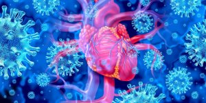 Myocardite apres vaccination : non, les cas n-explosent pas en Allemagne !