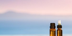 Gaultherie : une huile essentielle contre l-arthrose