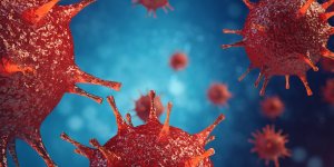 Le coronavirus "pourrait infecter 60 % de la population mondiale s’il n’est pas maitrise"
