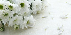 Deuil blanc : qu-est-ce que c-est ?