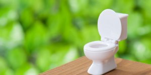 Toilettes : ce geste qui peut rendre malade lorsque l-on tire la chasse d-eau