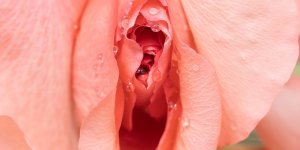 Clitoris : 3 questions pour demeler le vrai du faux 