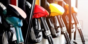 Alzheimer : moins de cas grace au carburant sans plomb ? 