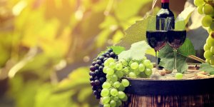 Vins sante : des vertus fantastiques !