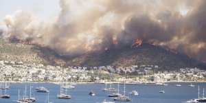 Incendies : les cas de Covid-19 pourraient augmenter a cause des fumees