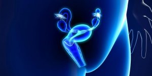 Quels sont les symptomes d-un fibrome ?