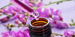 Tea tree : une huile essentielle contre la mycose des pieds