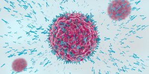Coronavirus : combien de temps peut-on etre immunise ?