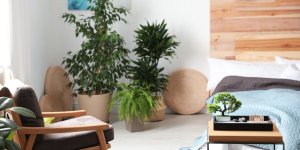 Le Feng Shui, un art de vivre pour favoriser le bien-etre