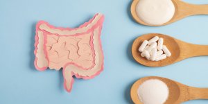 Les 5 meilleurs probiotiques pour vos intestins
