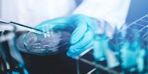 Coronavirus : l’ivermectine, nouvelle chloroquine ? 