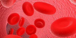 Cancer du sang : les symptomes