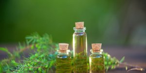 Comment utiliser l-huile essentielle de tea tree contre le rhume