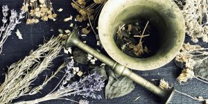 Phytotherapie : le melange bourrache et onagre