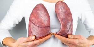 Hypertension pulmonaire : un traitement naturel ?