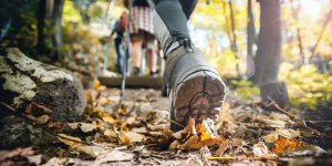 Marche ou course a pied : le corps s’adapte sans reflechir