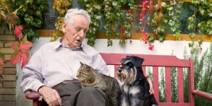  Chiens et chats : Les idees recues les plus courantes !