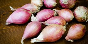 5 bienfaits sante de l-echalote