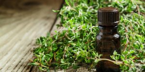 6 remedes naturels qui peuvent etre toxiques pour le foie