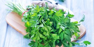 Constipation : une tisane de persil comme remede naturel