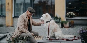 «Ma chienne est une therapeute en soi» : quand les animaux participent a la guerison