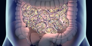 Microbiote : ces bacteries qui nous protegent 