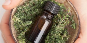 Demangeaison intime : l-huile essentielle de thym contre les mycoses