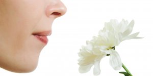 Conseils pour eviter le rhume des foins